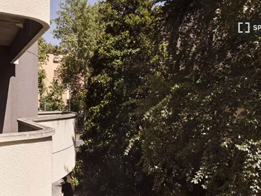 Immagine 17 di Camera condivisa in affitto  in Viale Giovanni Vicini a Bologna