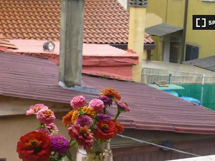 Immagine 9 di Camera condivisa in affitto  in Via Luigi Mascherpa a Padova