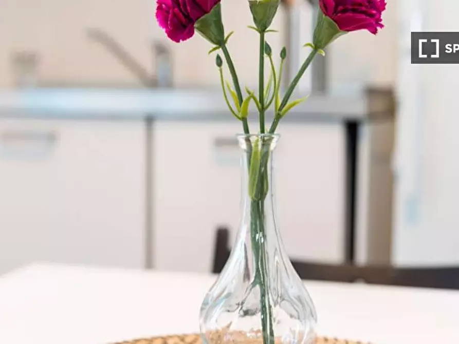 Immagine 15 di Camera condivisa in affitto  in Via delle Acacie Milan a Buccinasco