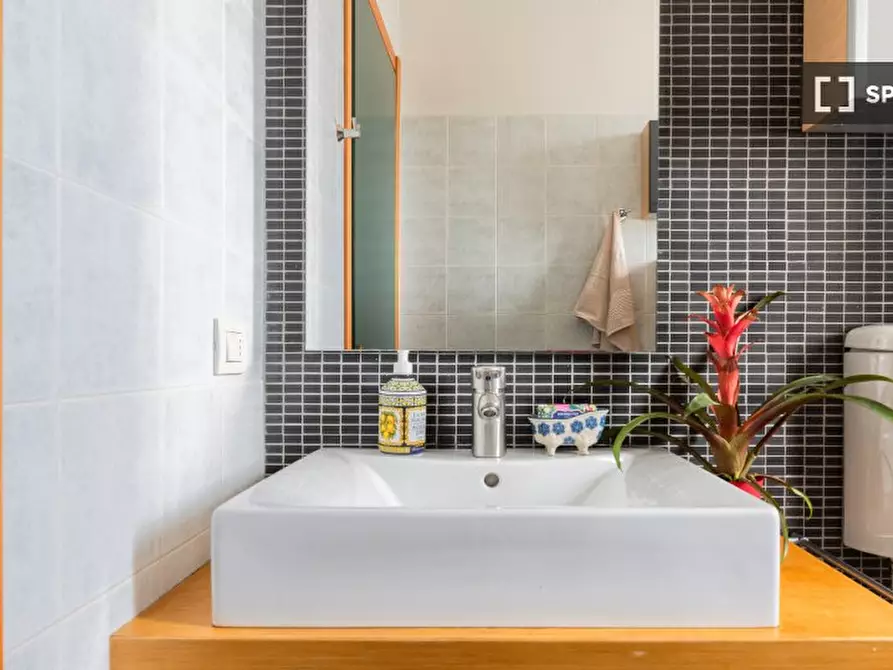 Immagine 17 di Appartamento in affitto  in Via Ippolito Rosellini a Firenze