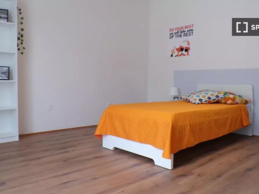 Immagine 3 di Camera condivisa in affitto  in Edmund Mach a Trento