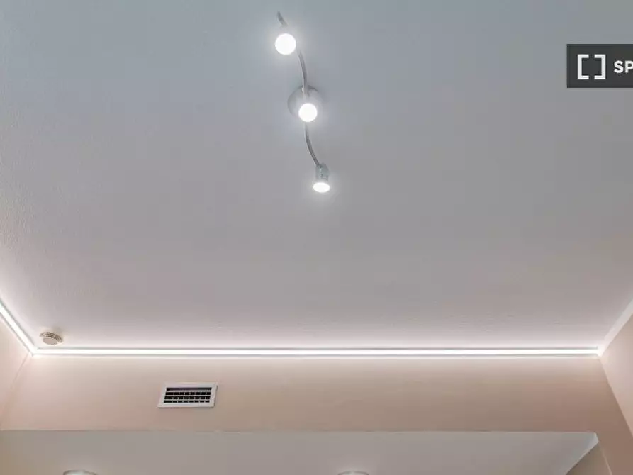 Immagine 12 di Appartamento in affitto  in Via Nizza a Torino