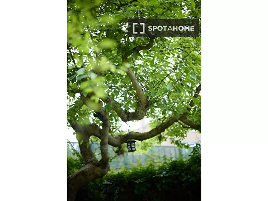 Immagine 19 di Appartamento in affitto  in Marlborough Place a Paddington