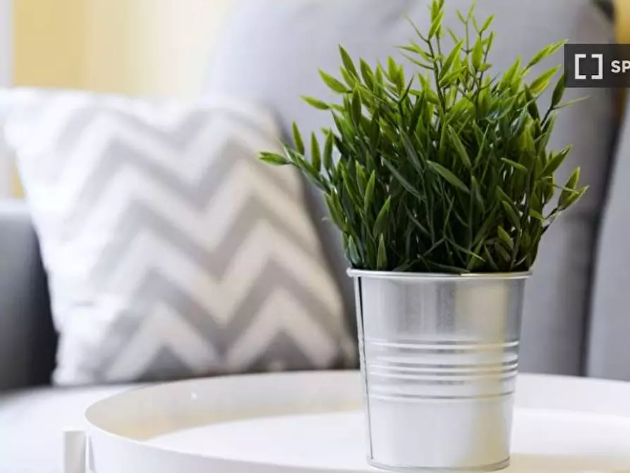 Immagine 4 di Camera condivisa in affitto  in Via Melchiorre Delfico a Milano