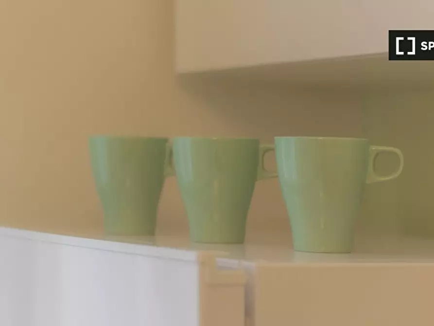 Immagine 13 di Camera condivisa in affitto  in Lungo Dora Napoli a Torino