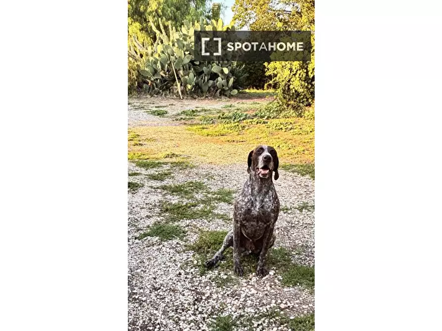 Immagine 5 di Ufficio in affitto  in Via Michele Lessona a Roma