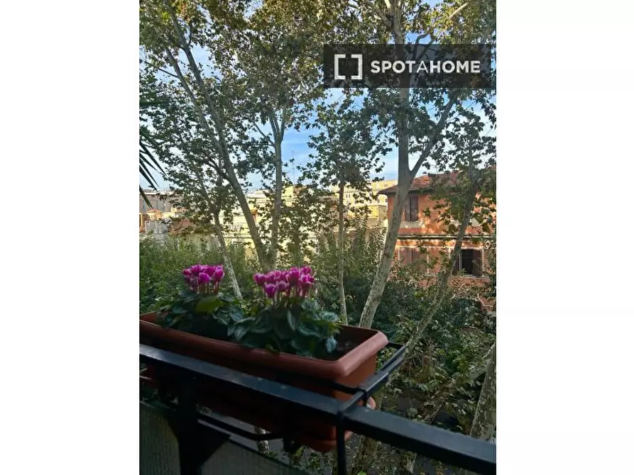 Immagine 16 di Appartamento in affitto  in Via di S. Croce in Gerusalemme a Roma