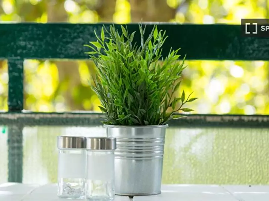 Immagine 11 di Camera condivisa in affitto  in Via dei Pioppi Milan a Buccinasco