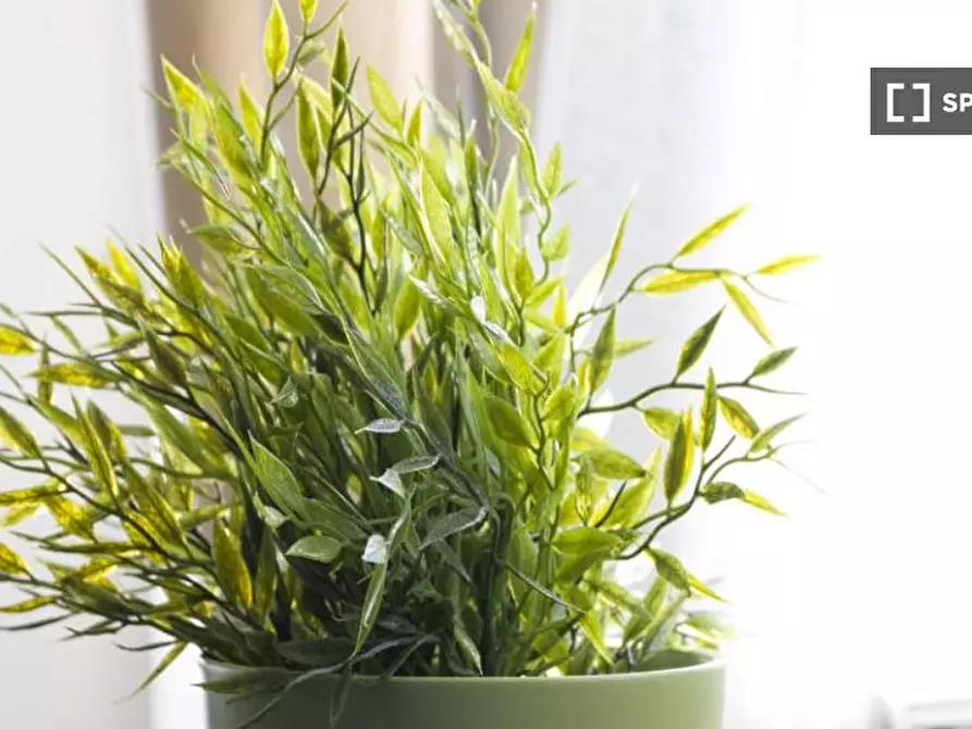 Immagine 8 di Camera condivisa in affitto  in Via Andrea Costa a Milano