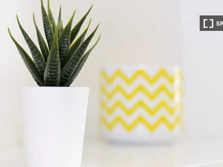 Immagine 8 di Camera condivisa in affitto  in VIA ANNIBALE GRASSELLI a Milano