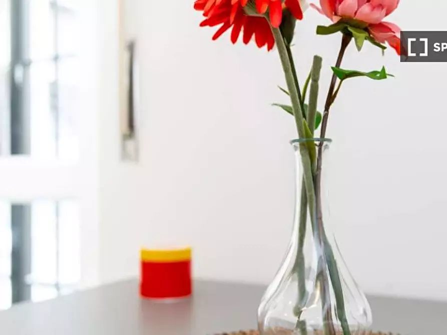 Immagine 10 di Camera condivisa in affitto  in Via Ferrante Aporti a Milano