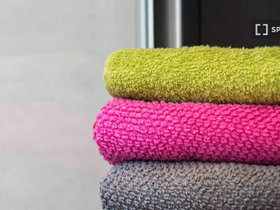 Immagine 11 di Camera condivisa in affitto  in Via delle Acacie Milan a Buccinasco