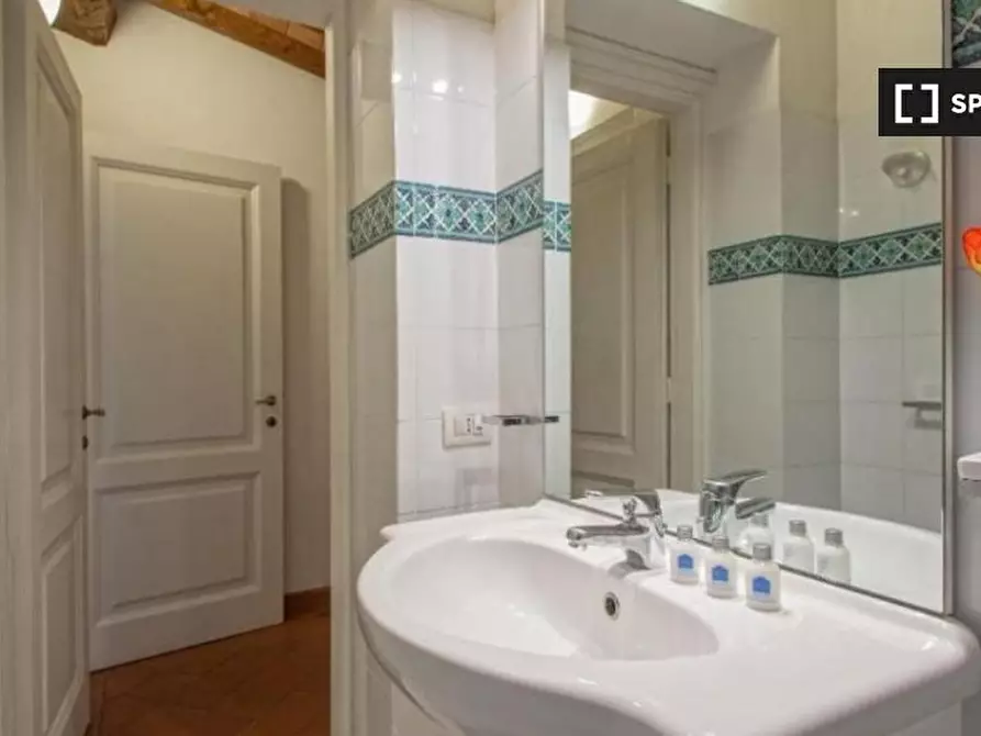 Immagine 18 di Appartamento in affitto  in Via delle Terme a Firenze