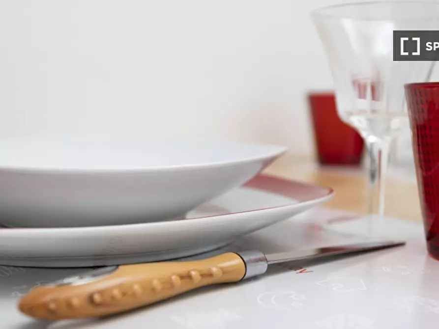 Immagine 15 di Appartamento in affitto  in Via Panfilo Castaldi a Milano