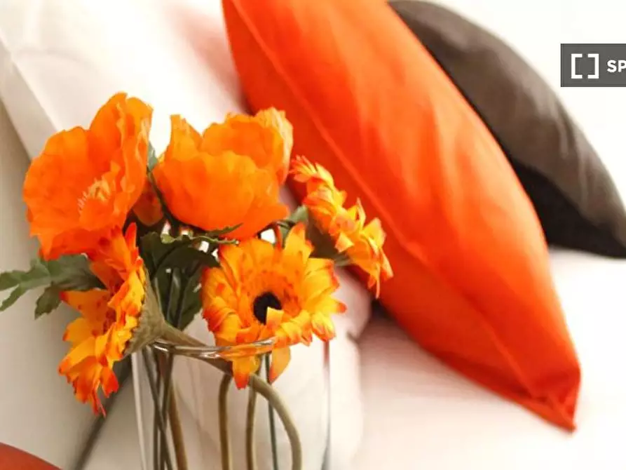 Immagine 5 di Camera condivisa in affitto  in Viale Ortles a Milano