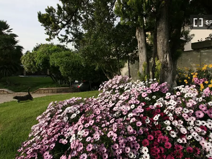 Immagine 12 di Appartamento in affitto  in Via Maria SS. di Quintiliolo a Tivoli