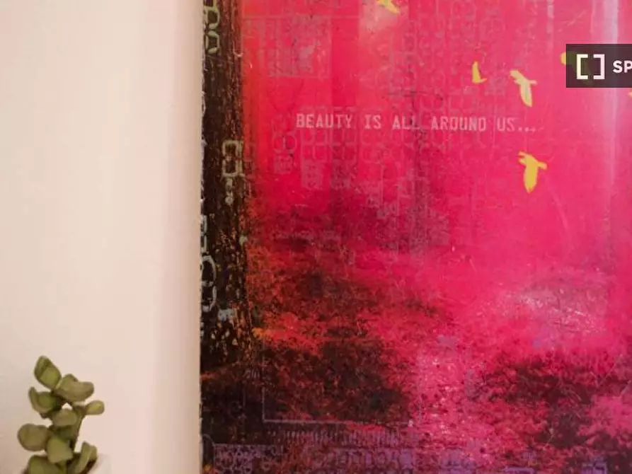 Immagine 12 di Camera condivisa in affitto  in Via Bassini a Milano