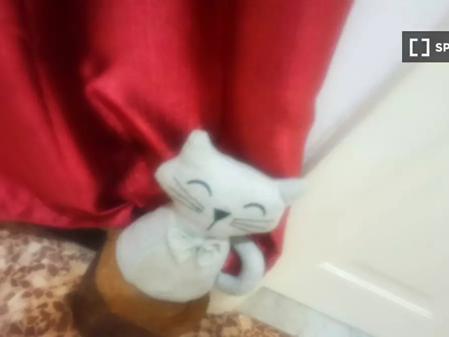 Immagine 19 di Camera condivisa in affitto  in Via Mogadiscio a Genova