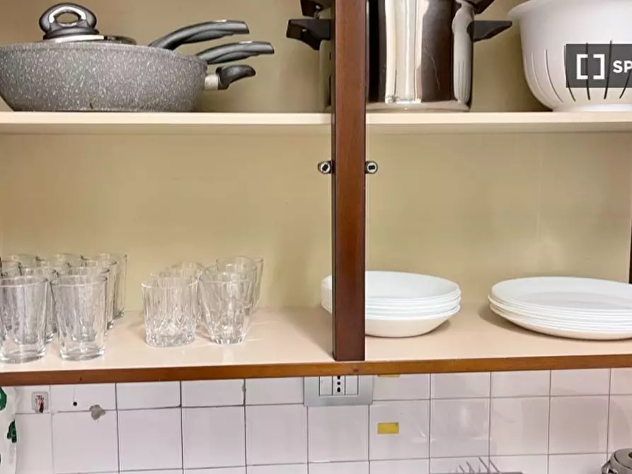 Immagine 13 di Camera condivisa in affitto  in Via Antonio Canova a Milano