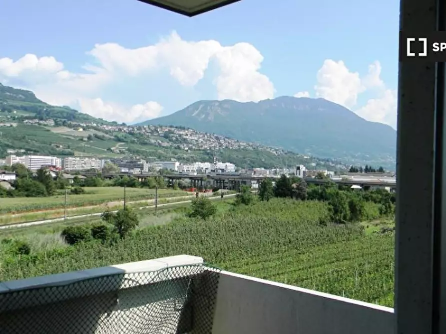 Immagine 8 di Camera condivisa in affitto  in Via Danilo Paris a Trento