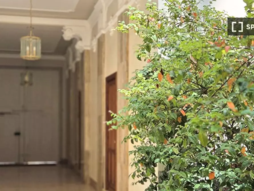 Immagine 17 di Appartamento in affitto  in Via Macedonio Melloni a Milano