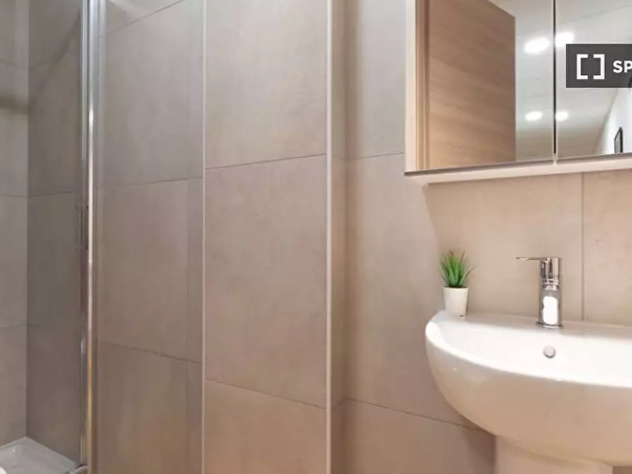 Immagine 15 di Camera condivisa in affitto  in Via Carlo Pedrotti a Torino