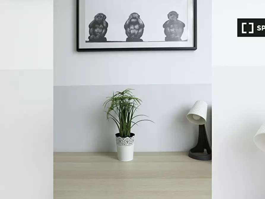 Immagine 5 di Camera condivisa in affitto  in Via Bartolomeo Eustachi a Milano