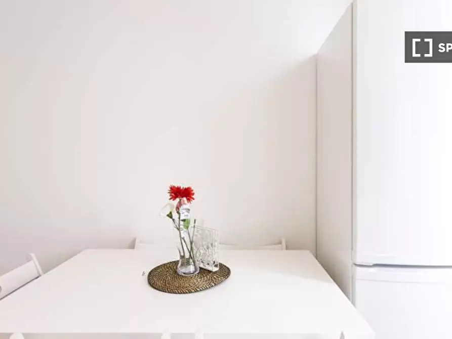 Immagine 19 di Camera condivisa in affitto  in Via Sulmona Milan a Milano