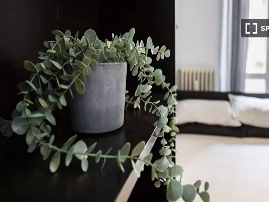 Immagine 4 di Camera condivisa in affitto  in Via Giuditta Sidoli a Milano