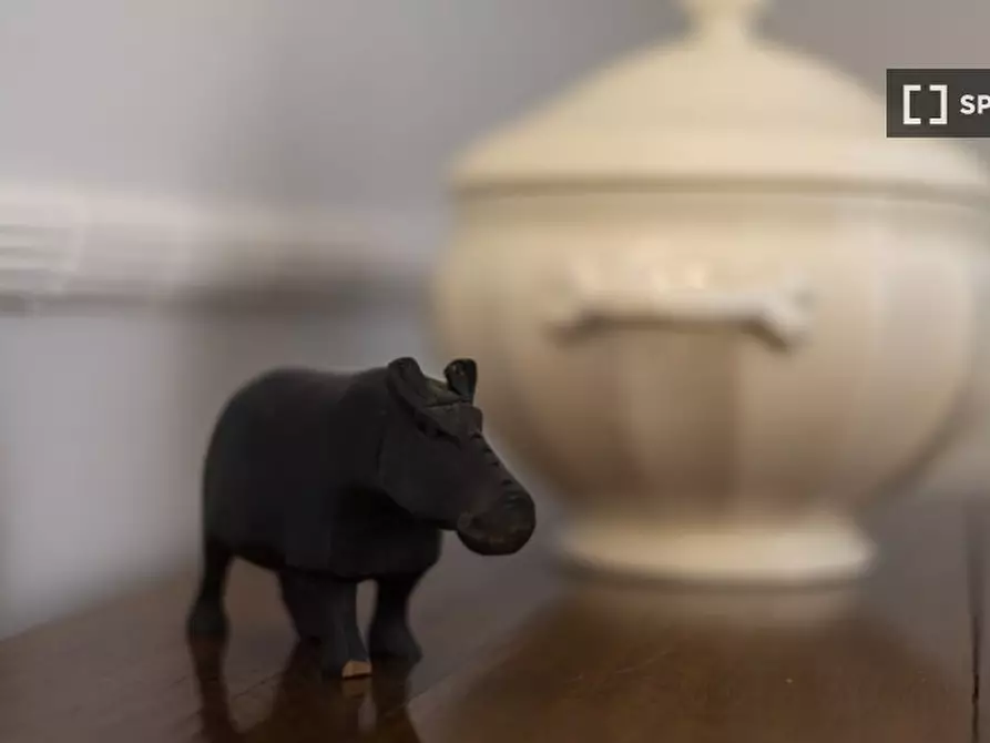 Immagine 6 di Appartamento in affitto  in Via Cimabue a Firenze