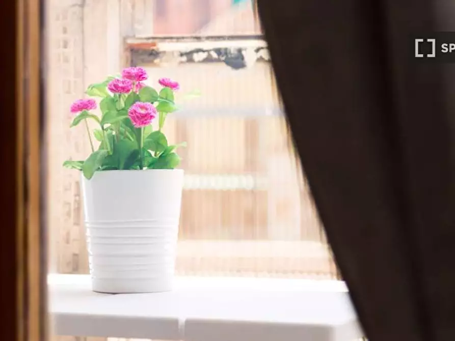 Immagine 12 di Camera condivisa in affitto  in Via Carlo Botta a Milano