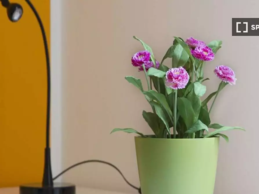 Immagine 1 di Camera condivisa in affitto  in Via Salvatore Barzilai a Milano