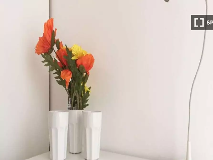 Immagine 18 di Camera condivisa in affitto  in Via Alberto Mario a Milano