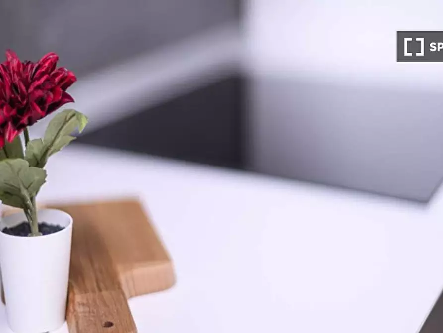 Immagine 13 di Camera condivisa in affitto  in Via Ippodromo a Milano