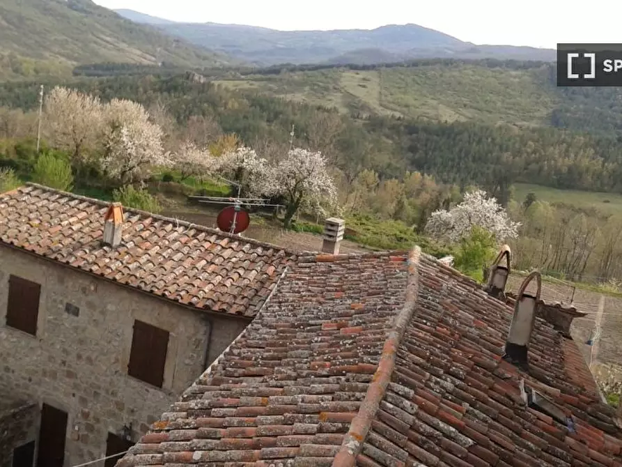 Immagine 8 di Appartamento in affitto  in Via Lunga a Santa Fiora