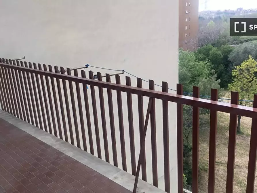 Immagine 8 di Camera condivisa in affitto  in Via Pietro Ceccato a Roma