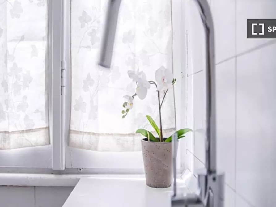 Immagine 13 di Camera condivisa in affitto  in Viale Brianza a Milano