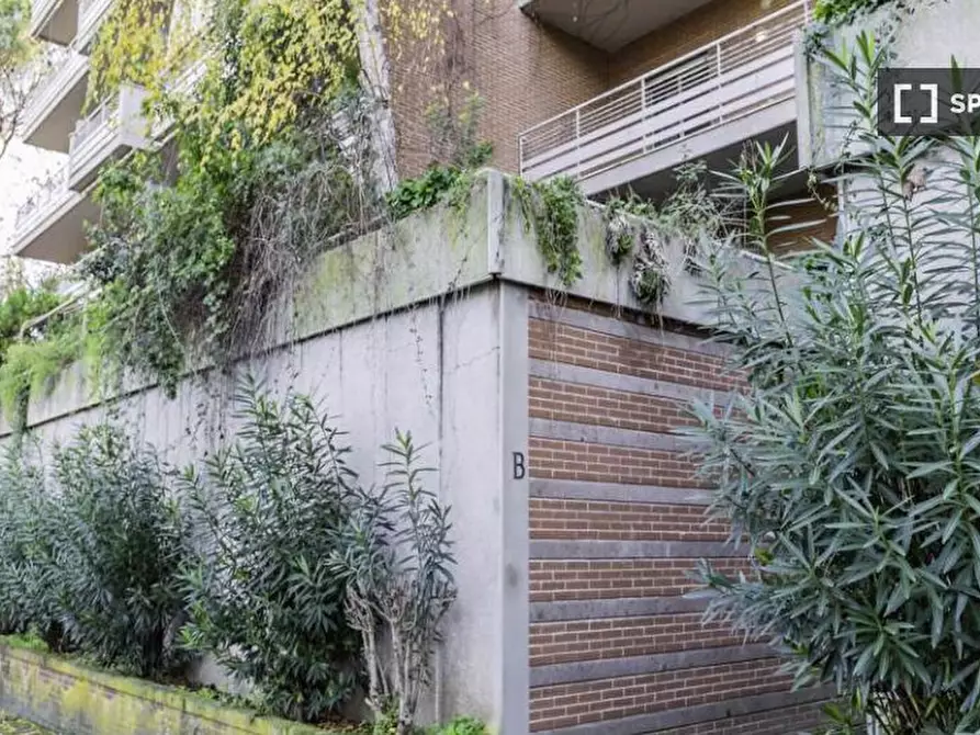 Immagine 14 di Camera condivisa in affitto  in Via Fiume delle Perle a Roma