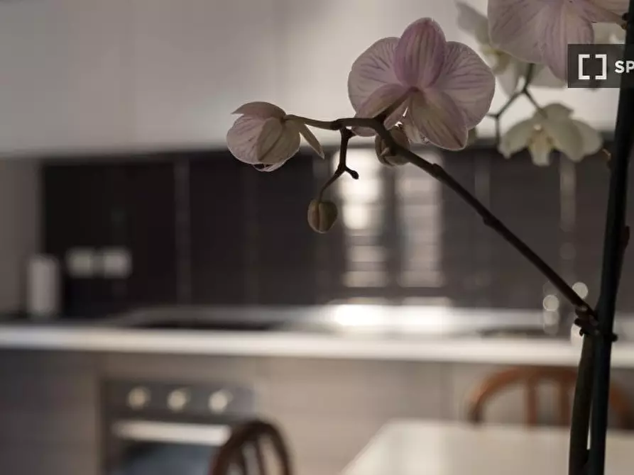 Immagine 18 di Appartamento in affitto  in Via Melzo a Milano