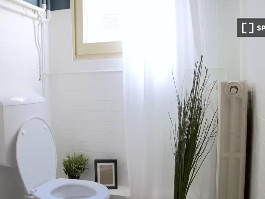 Immagine 5 di Camera condivisa in affitto  in Maggiore a Bologna