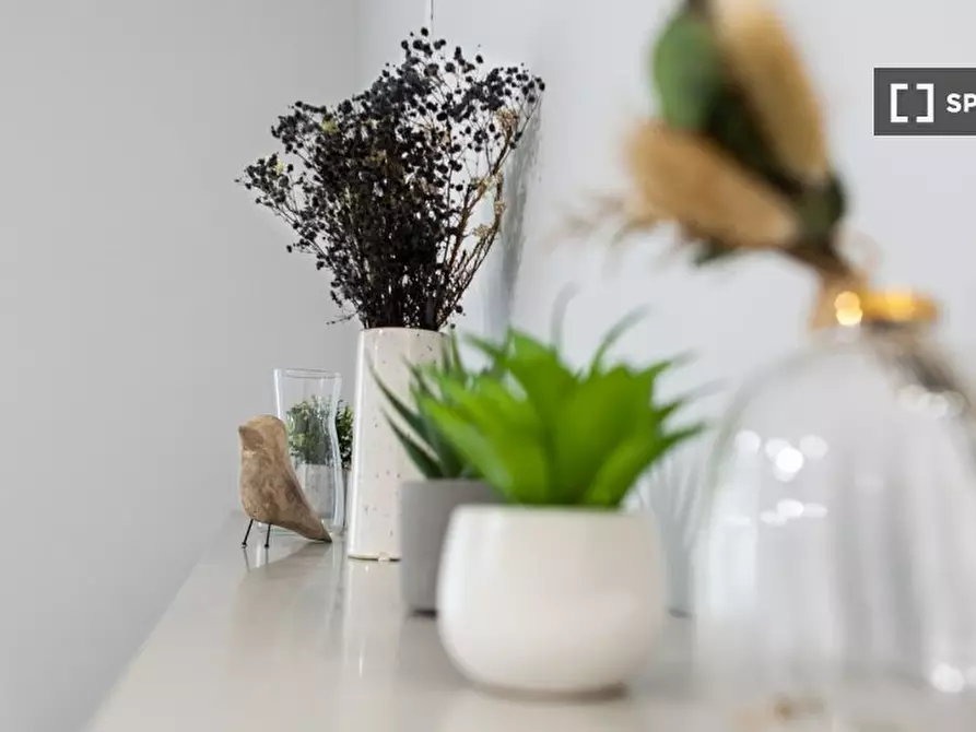 Immagine 8 di Appartamento in affitto  in Via Giovanni Battista Pergolesi a Milano