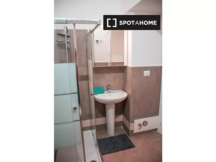 Immagine 15 di Camera condivisa in affitto  in Via Alfonso Bonafous a Torino