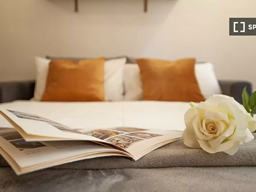 Immagine 14 di Appartamento in affitto  in Via del Ponte alle Mosse a Firenze