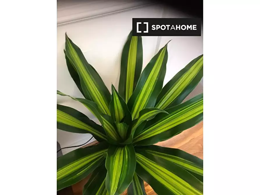 Immagine 15 di Appartamento in affitto  in Cookson Grove a Crayford