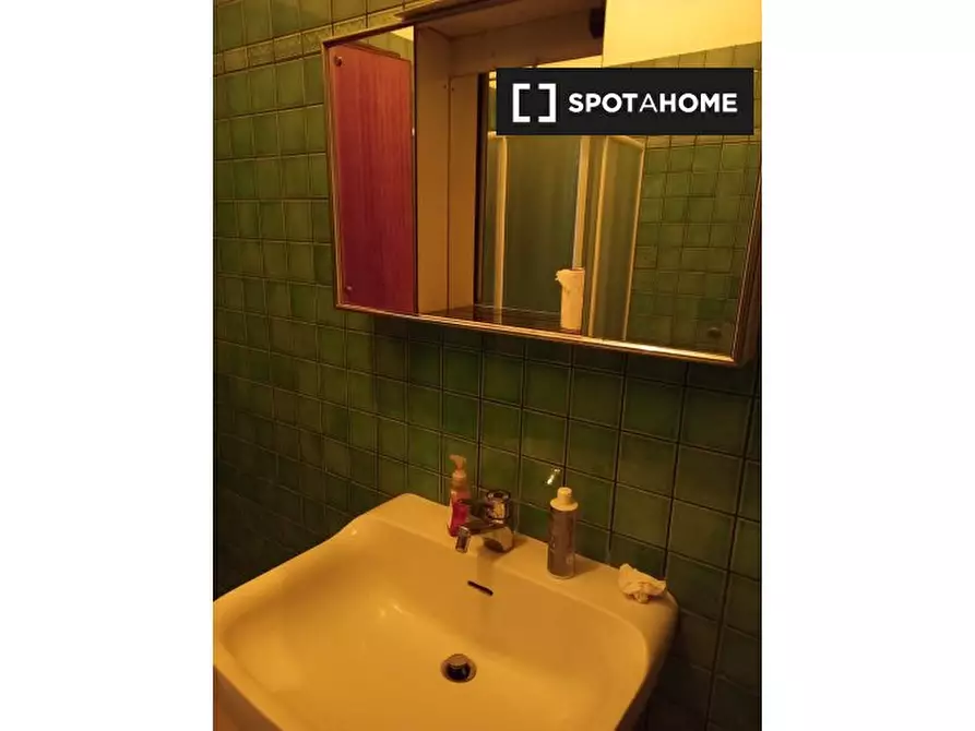 Immagine 16 di Camera condivisa in affitto  in Via Tommaso Salvini a Bologna