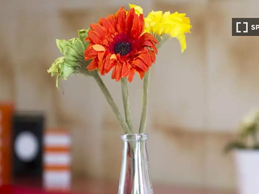 Immagine 15 di Camera condivisa in affitto  in Via Salvatore Barzilai a Milano