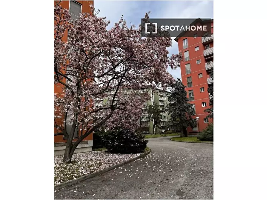 Immagine 4 di Appartamento in affitto  in Viale Ungheria a Milano