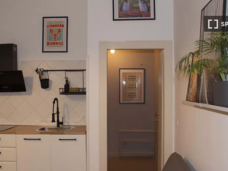 Immagine 4 di Appartamento in affitto  in Via Giuseppe Zanardelli a Firenze