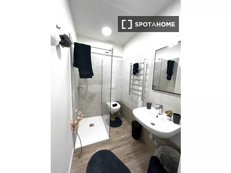 Immagine 17 di Camera condivisa in affitto  in Novembre 132 a Trento