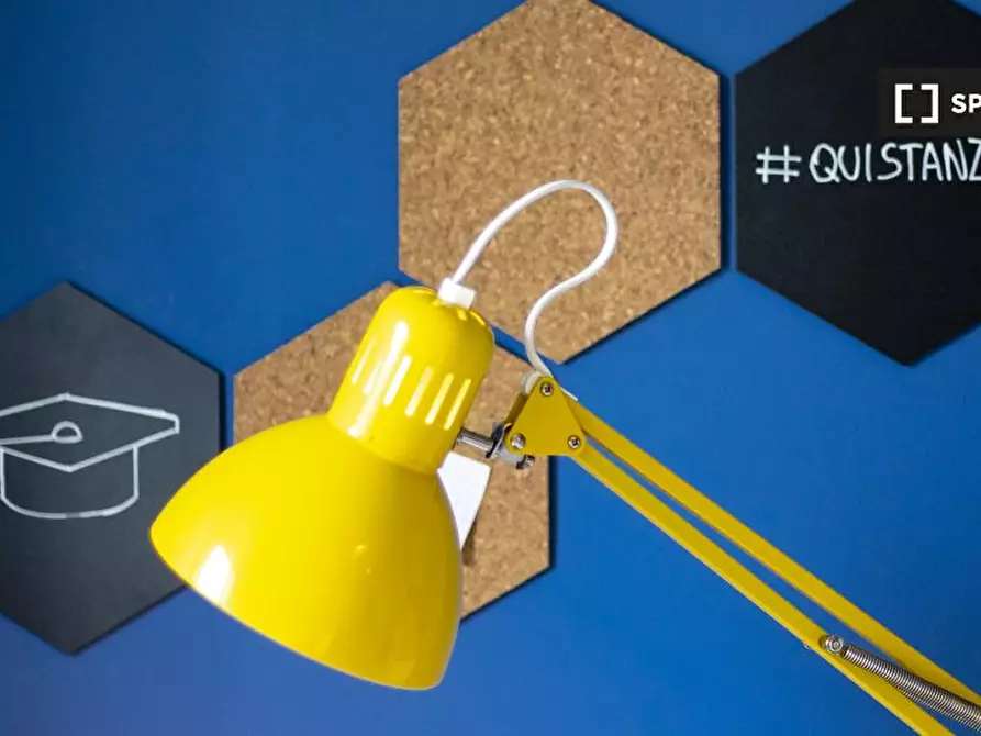 Immagine 9 di Camera condivisa in affitto  in Corso Massimo d'Azeglio a Torino